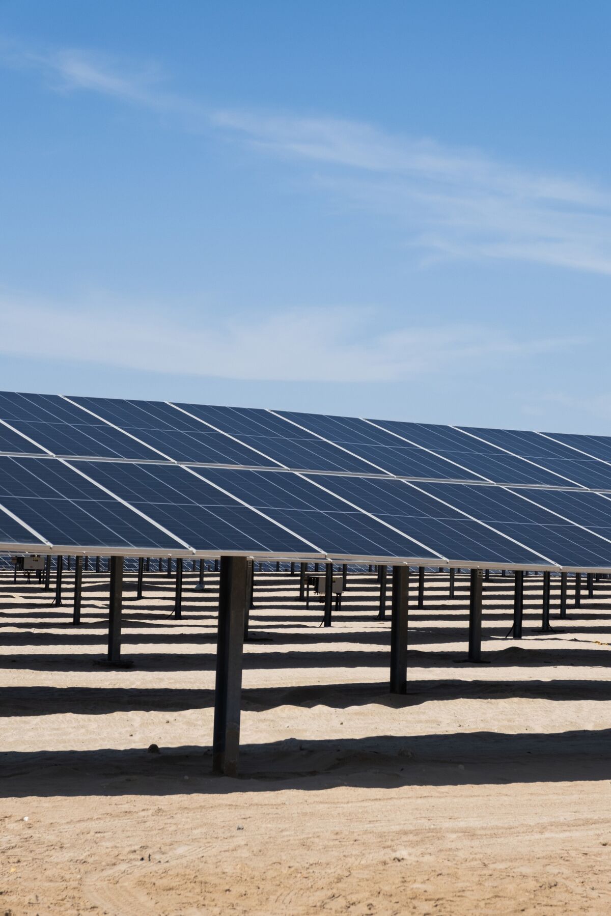 Jinko Solar Eyes Breakeven This Year as China Moves to Ease Glut