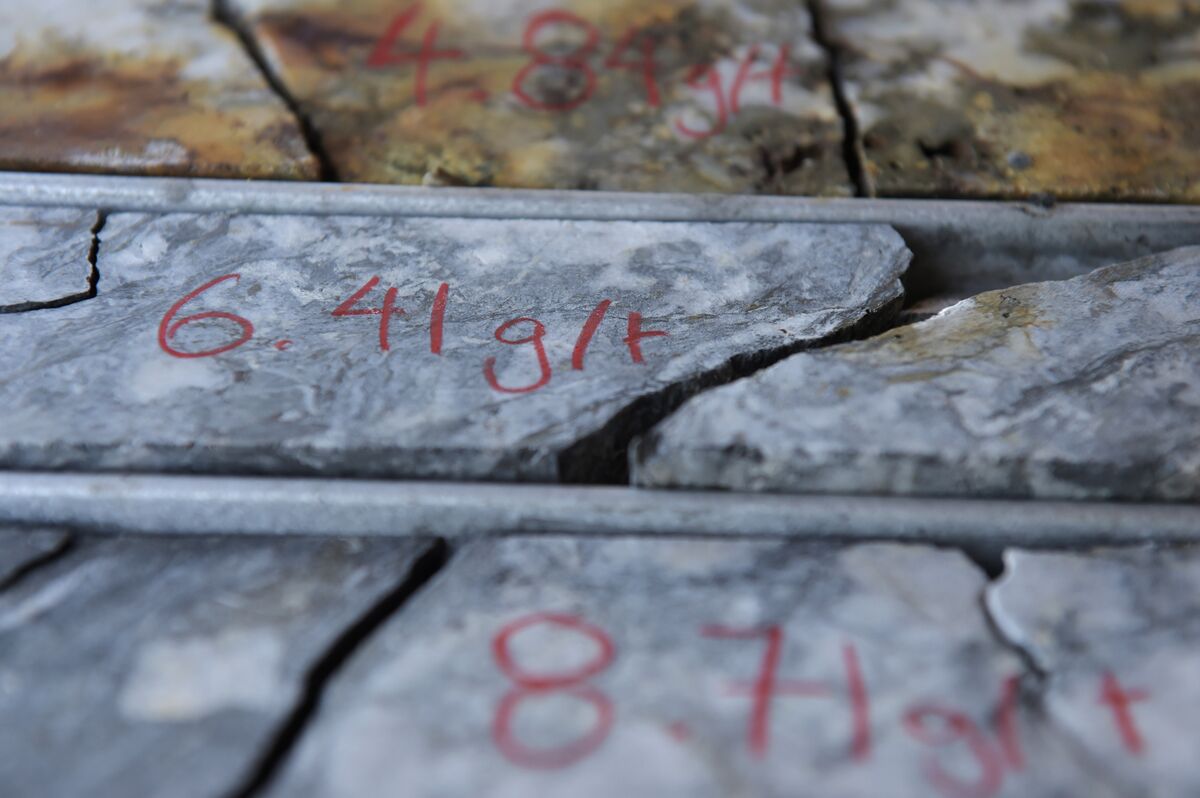 Australia Orders Chinese Investors to Sell Stakes in Mining Firm