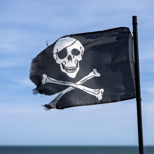 Authors' lucky break in court may help class action over Meta torrenting