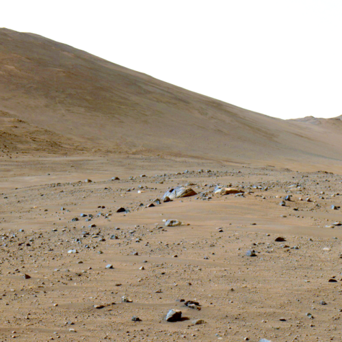 A martian rock has lots of carbon on it, and it's not clear why