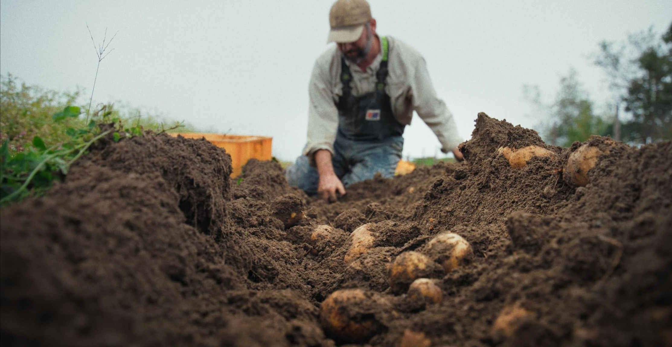 ‘Fork In The Road’ Documents Innovators Working To Repair America’s Dysfunctional Food System – Sonoma International Film Festival