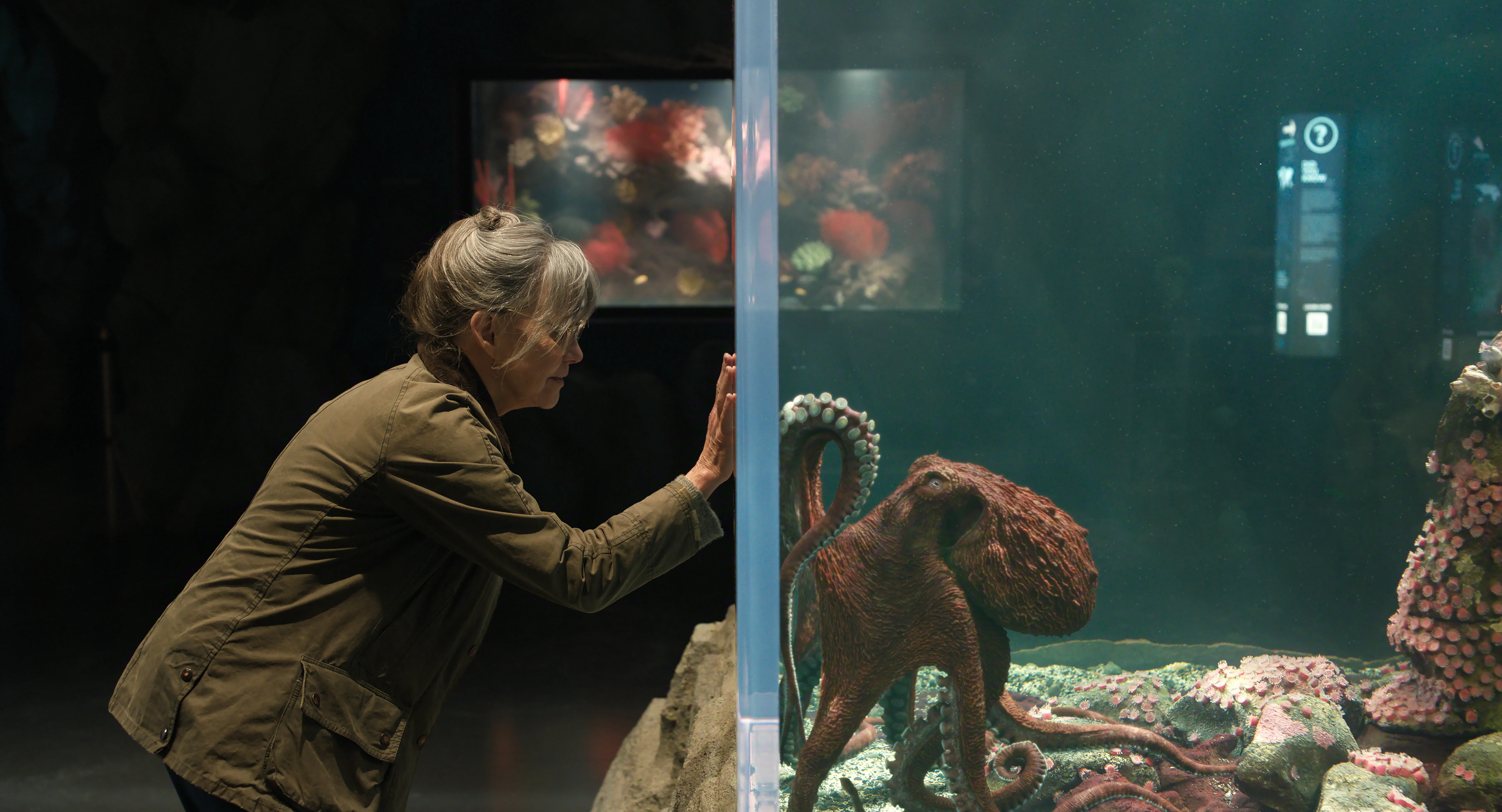 ‘Remarkably Bright Creatures’ Review: Sally Field & Lewis Pullman Bond Over A Cranky Octopus In Funny, Wise And Moving Book Adaptation