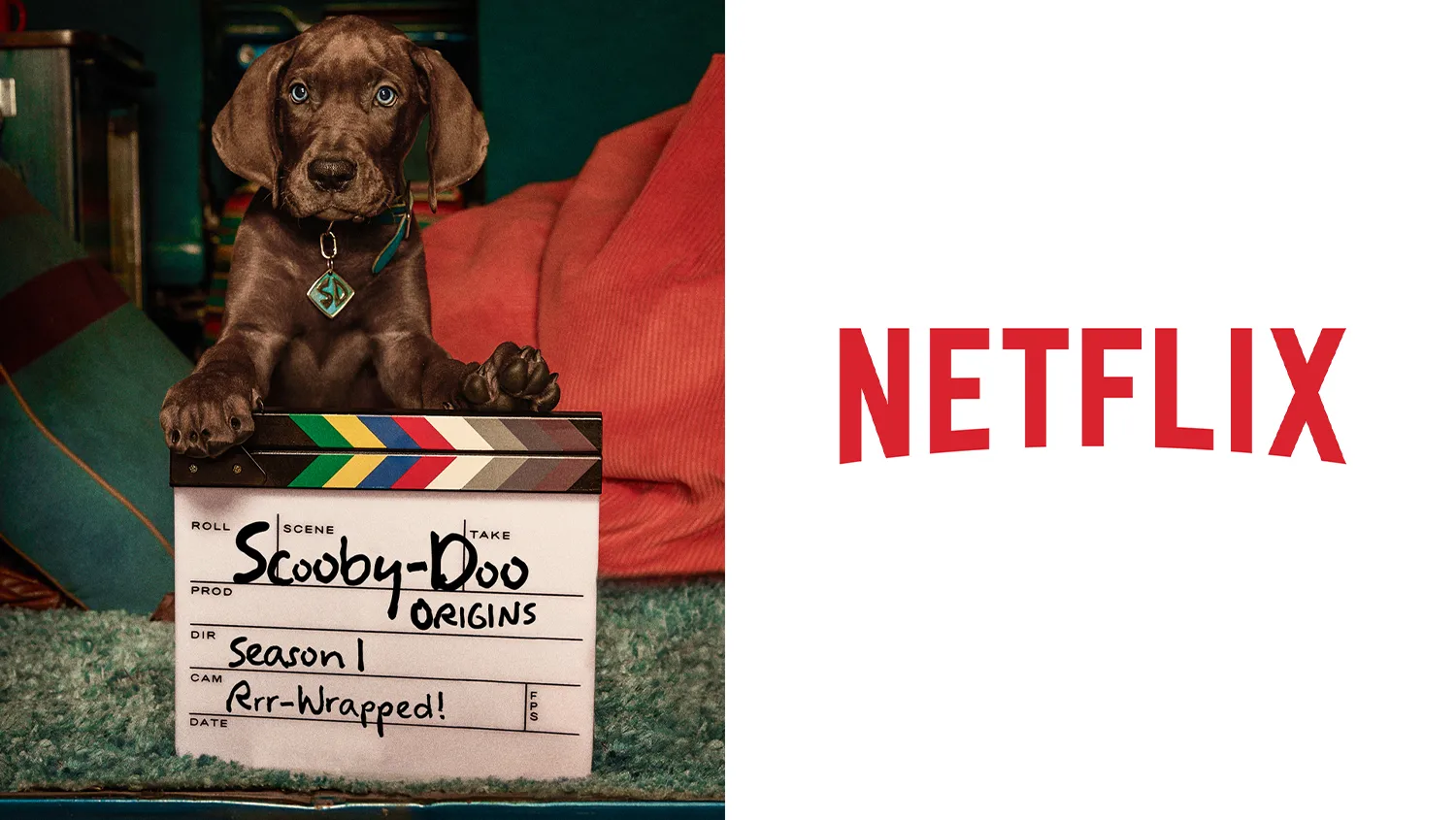 ‘Scooby-Doo: Origins’ Season 1 Production Has Rrrr-Wrapped