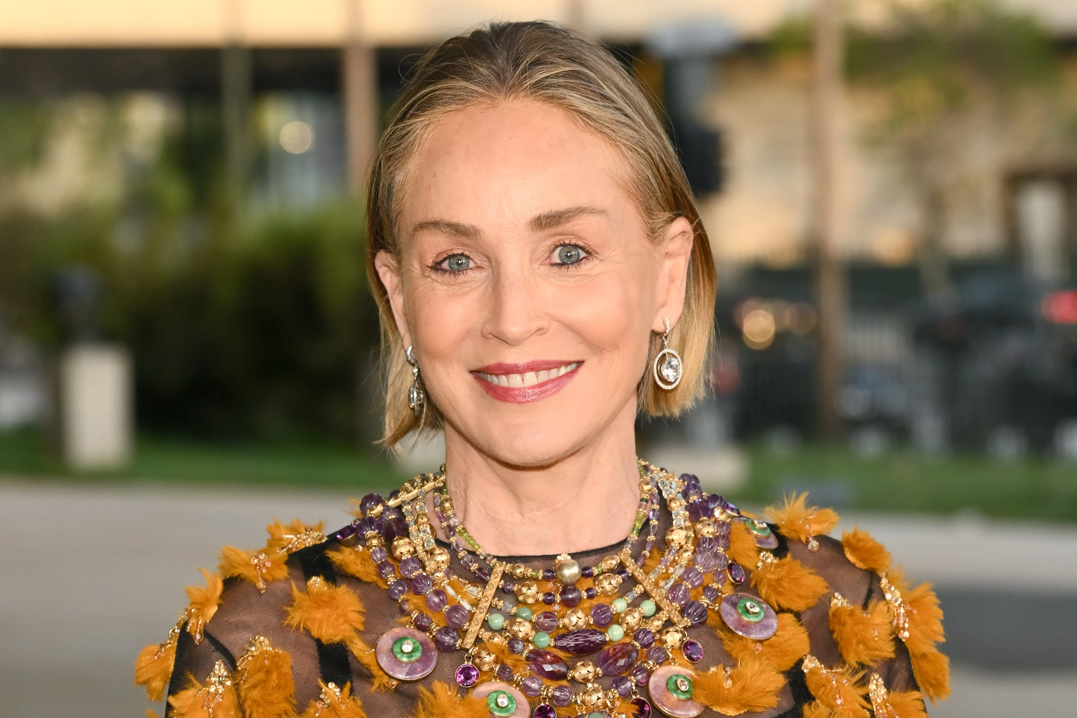 Sharon Stone on Quitting Weed and Stopping a Stroke Medication Despite Doctors’ Orders: ‘It Was Like Going Off of F—ing Heroin’