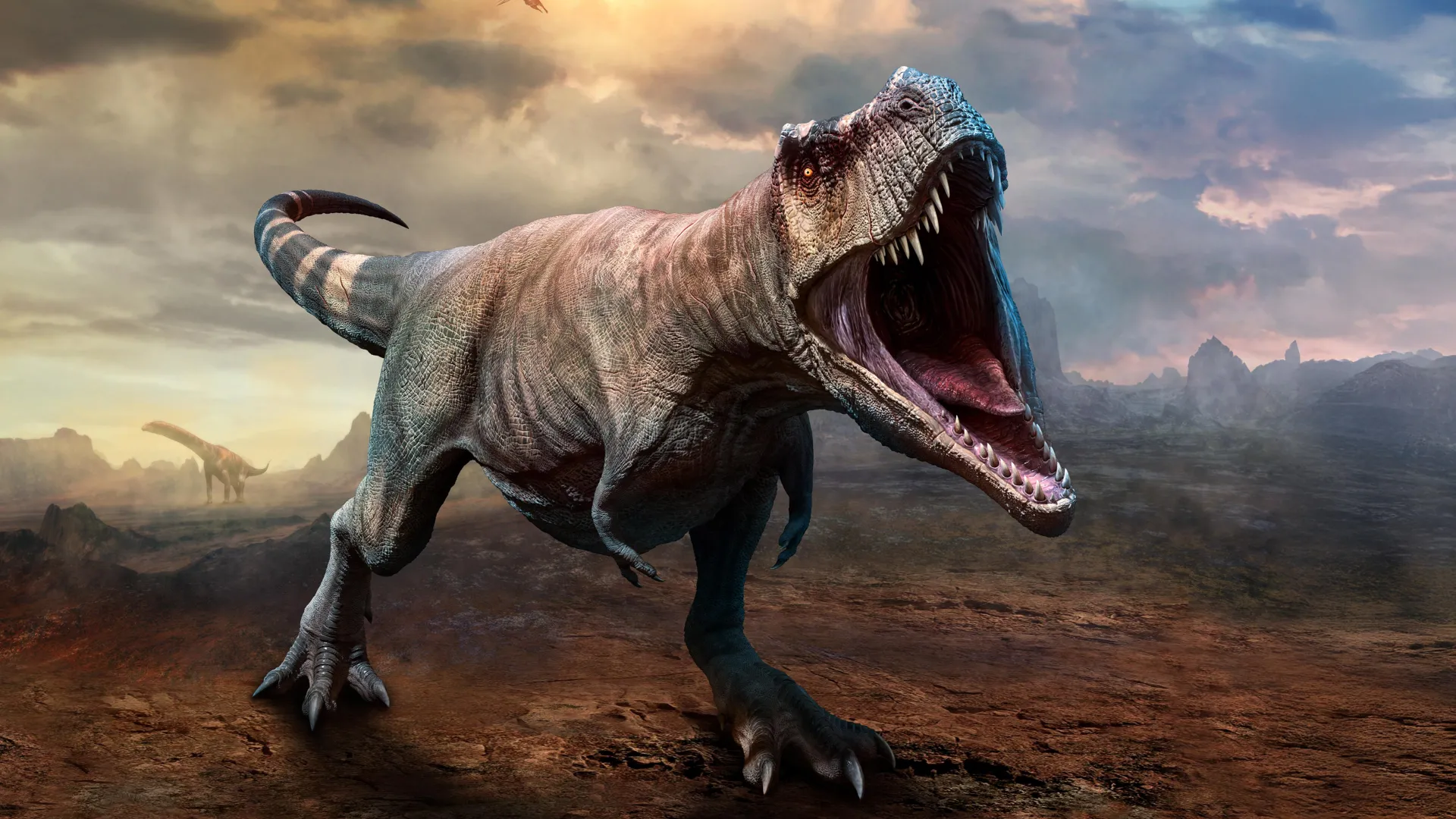 T. rex took 40 years to reach full size, scientists find