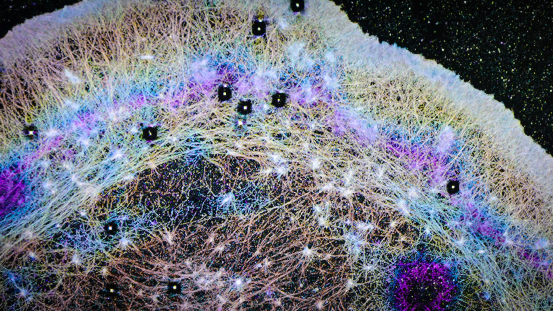 Scientists discover hidden “winds” inside cells that could explain cancer spread