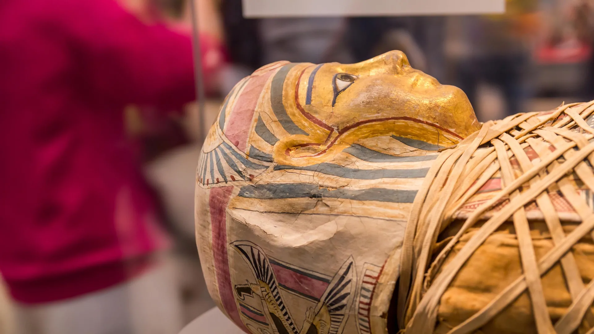 Archaeologists found Homer's Iliad inside a 1,600-year-old Egyptian mummy