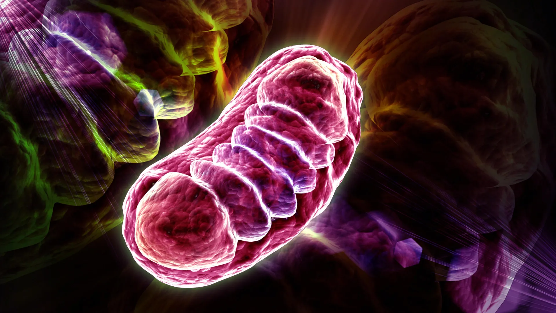 Scientists discover a hidden cause of aging cells that can be reversed