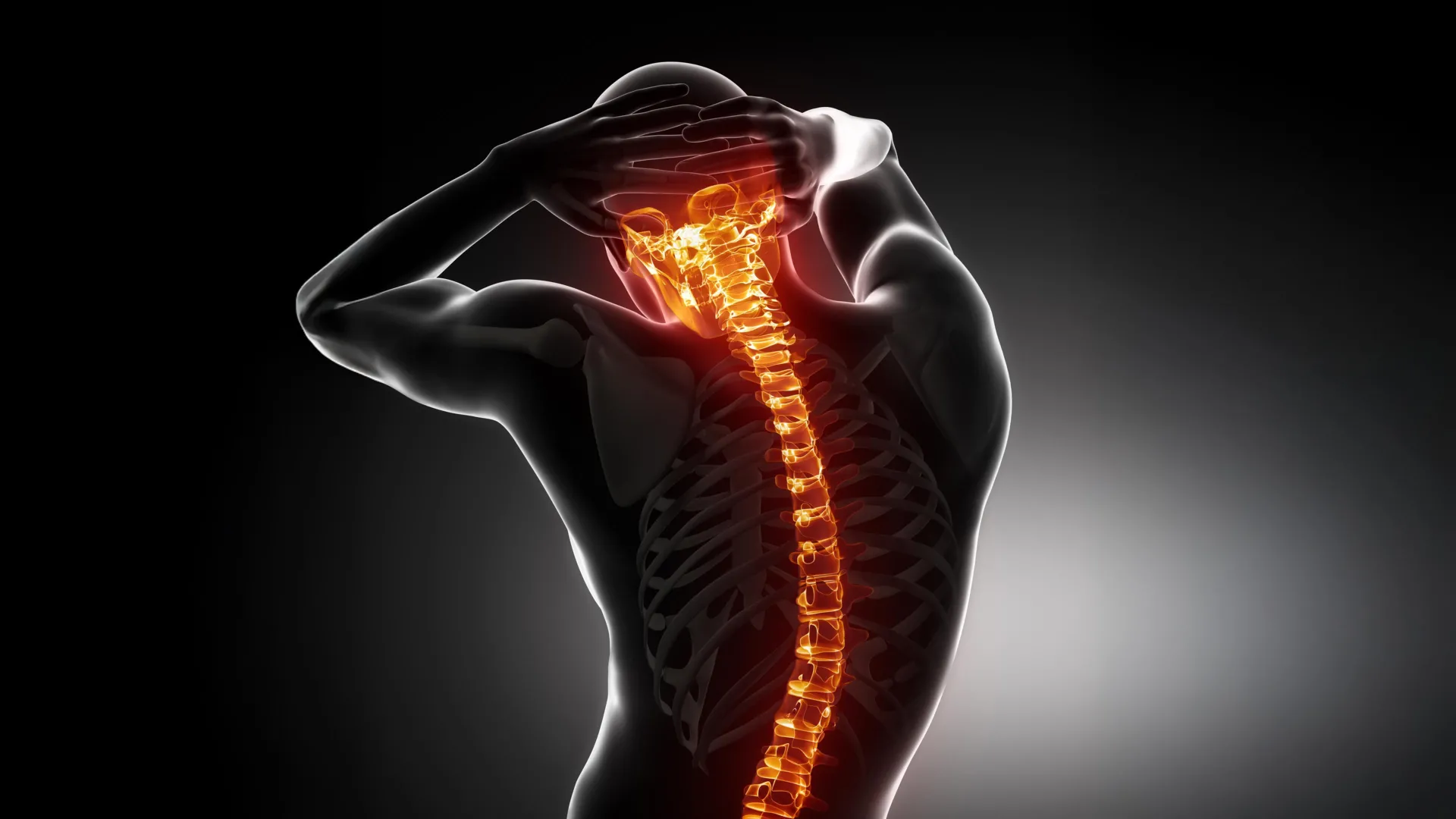 Scientists discover a hidden immune signal that helps spinal cords regrow