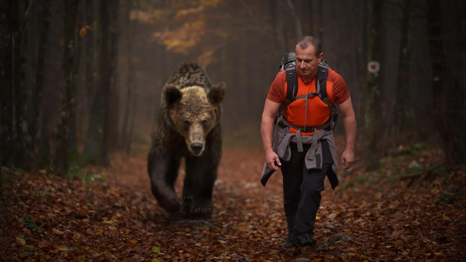 Are humans really the ultimate super-predator?