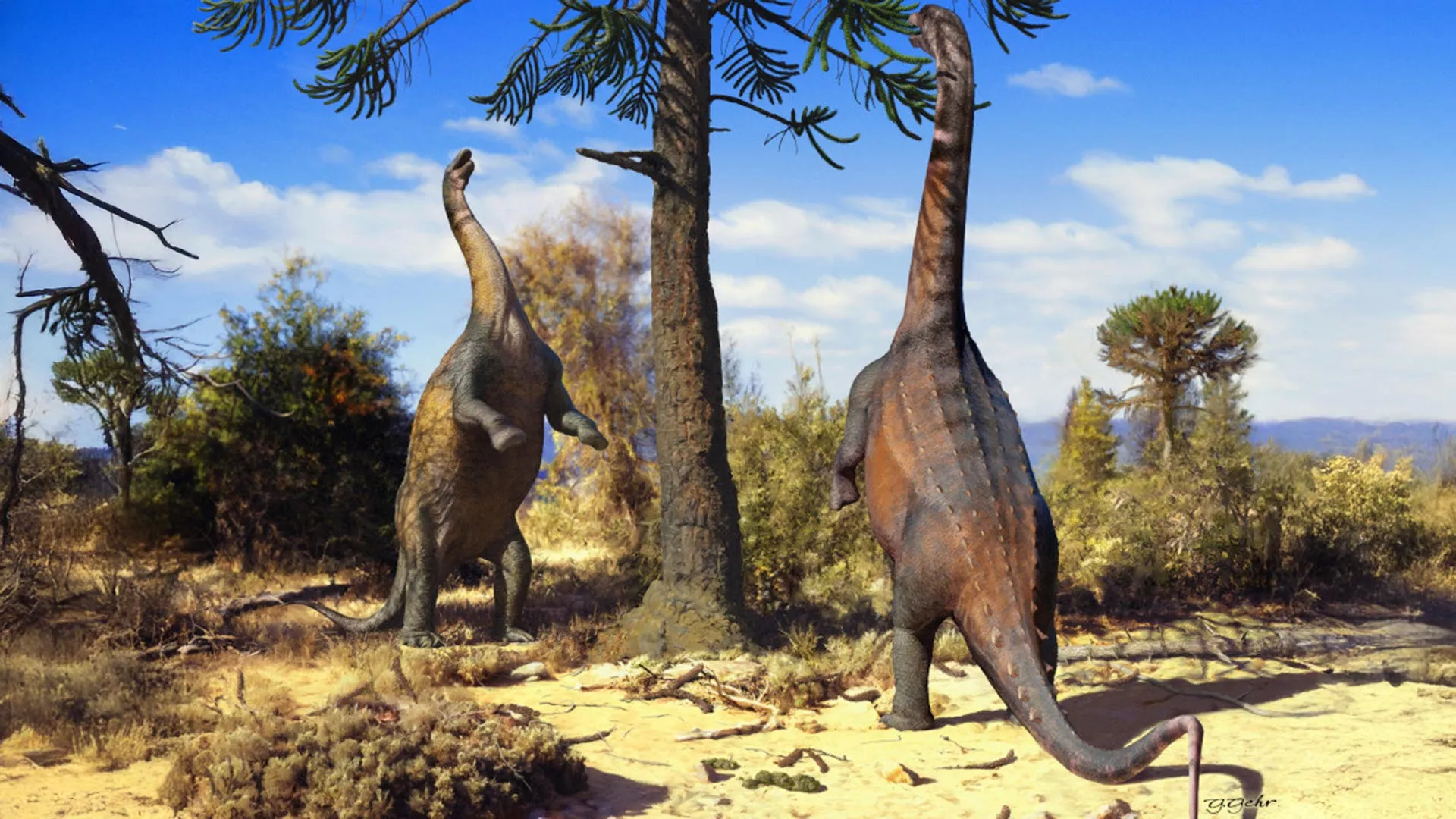 Some dinosaurs could rise like giants until they grew too big