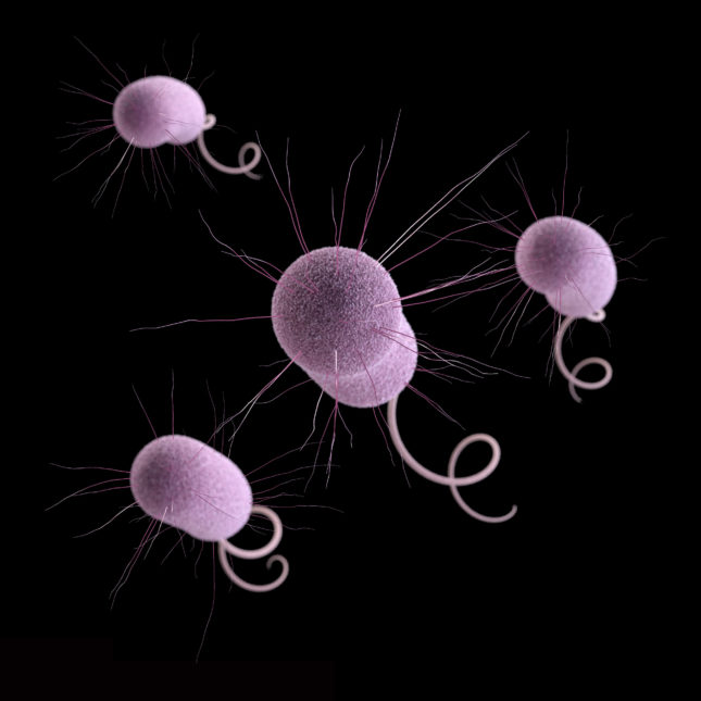 STAT+: Large drugmakers are developing fewer antibiotics, analysis finds