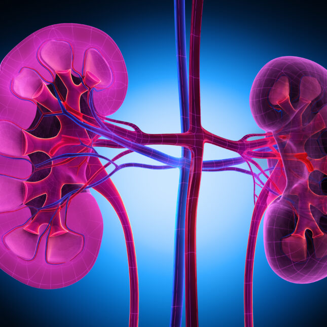 STAT+: Vertex says its drug successfully reduced marker of kidney disease in late-stage trial