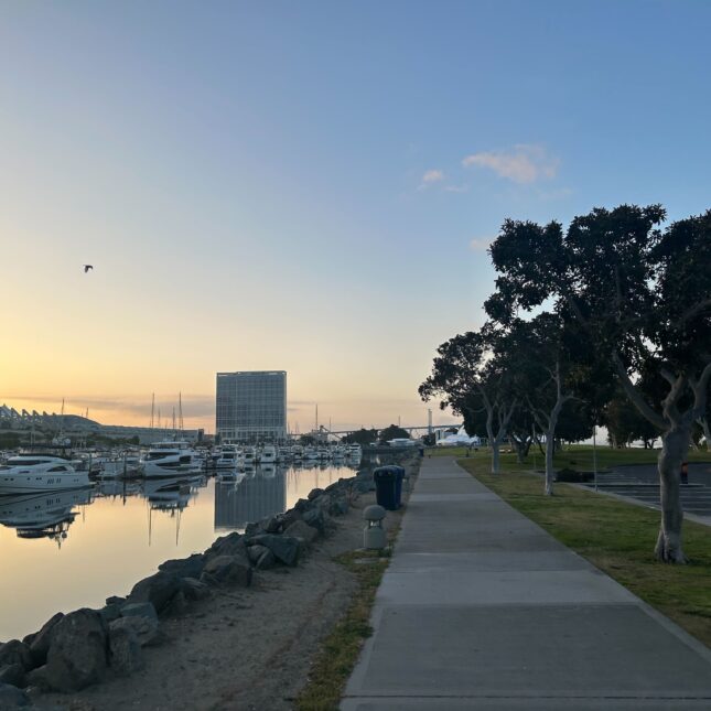 STAT+: At AACR, a provocative use of CAR-T, Merck’s new thing and cancer’s geography problem