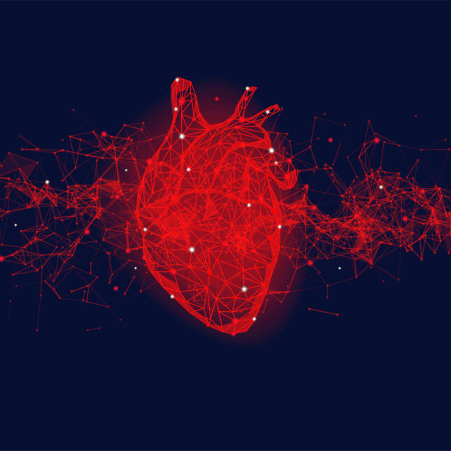 STAT+: ARPA-H to invest $62 million to develop FDA-authorized AI to help treat heart failure